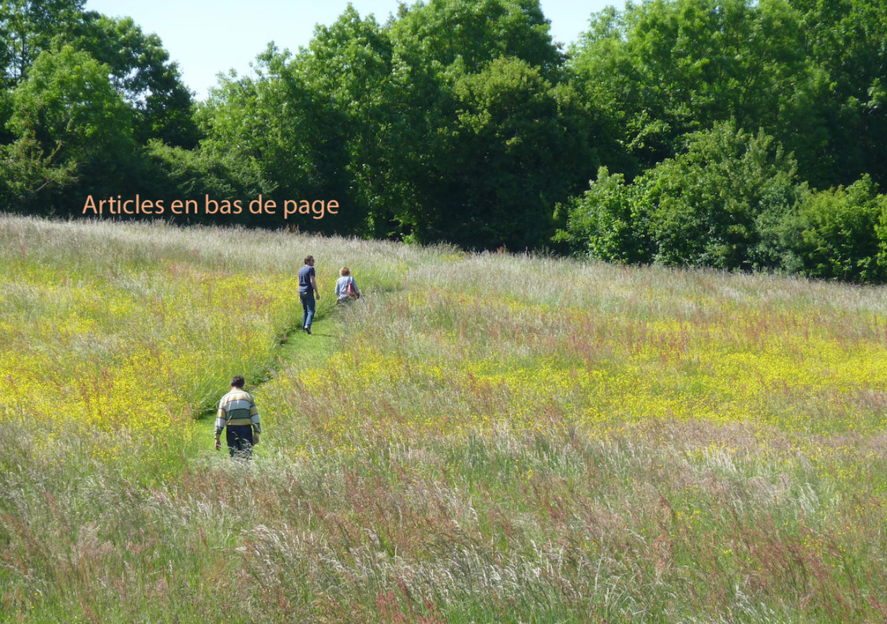 Asnières Patrimoine